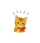 子猫のとらの日常スタンプ（個別スタンプ：30）