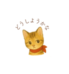 子猫のとらの日常スタンプ（個別スタンプ：31）