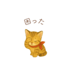 子猫のとらの日常スタンプ（個別スタンプ：35）
