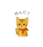 子猫のとらの日常スタンプ（個別スタンプ：37）