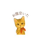 子猫のとらの日常スタンプ（個別スタンプ：38）
