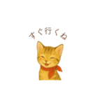 子猫のとらの日常スタンプ（個別スタンプ：39）