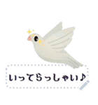Love ＆ Greetings メッセージスタンプ 1（個別スタンプ：10）