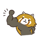 毎日使える敬語スタンプ｜レッサーパンダ（個別スタンプ：5）