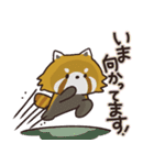 毎日使える敬語スタンプ｜レッサーパンダ（個別スタンプ：30）