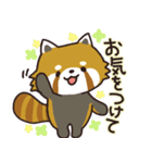 毎日使える敬語スタンプ｜レッサーパンダ（個別スタンプ：31）