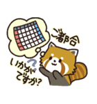 毎日使える敬語スタンプ｜レッサーパンダ（個別スタンプ：32）