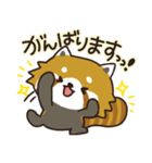 毎日使える敬語スタンプ｜レッサーパンダ（個別スタンプ：33）