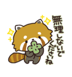 毎日使える敬語スタンプ｜レッサーパンダ（個別スタンプ：34）