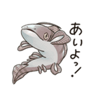 滅びてしまったゆるふわ古代鮫オールスター（個別スタンプ：3）