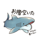 滅びてしまったゆるふわ古代鮫オールスター（個別スタンプ：15）