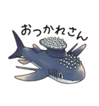 滅びてしまったゆるふわ古代鮫オールスター（個別スタンプ：17）