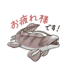滅びてしまったゆるふわ古代鮫オールスター（個別スタンプ：18）