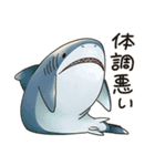 滅びてしまったゆるふわ古代鮫オールスター（個別スタンプ：24）