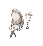滅びてしまったゆるふわ古代鮫オールスター（個別スタンプ：28）