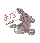 滅びてしまったゆるふわ古代鮫オールスター（個別スタンプ：29）