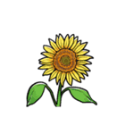 【動く】ふるえる夏（個別スタンプ：7）