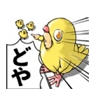 ひよこぐるみ_ver2 デカ文字（個別スタンプ：24）