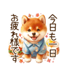 感情爆発の柴犬☆彡（個別スタンプ：5）