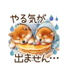感情爆発の柴犬☆彡（個別スタンプ：8）