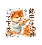 感情爆発の柴犬☆彡（個別スタンプ：11）
