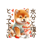 感情爆発の柴犬☆彡（個別スタンプ：12）