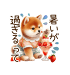 感情爆発の柴犬☆彡（個別スタンプ：13）