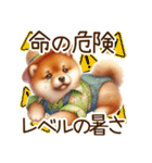 感情爆発の柴犬☆彡（個別スタンプ：16）