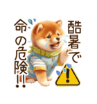 感情爆発の柴犬☆彡（個別スタンプ：17）