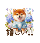 感情爆発の柴犬☆彡（個別スタンプ：22）