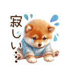 感情爆発の柴犬☆彡（個別スタンプ：24）