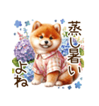 感情爆発の柴犬☆彡（個別スタンプ：30）