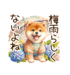感情爆発の柴犬☆彡（個別スタンプ：32）