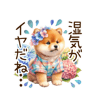 感情爆発の柴犬☆彡（個別スタンプ：35）