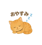 ほわほわねこ時間（個別スタンプ：1）