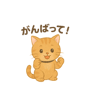 ほわほわねこ時間（個別スタンプ：2）