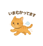 ほわほわねこ時間（個別スタンプ：5）