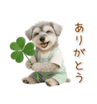 ポジティブな気持ちを伝えるシュナウザー（個別スタンプ：3）