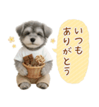 ポジティブな気持ちを伝えるシュナウザー（個別スタンプ：4）