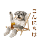 ポジティブな気持ちを伝えるシュナウザー（個別スタンプ：10）
