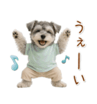 ポジティブな気持ちを伝えるシュナウザー（個別スタンプ：19）
