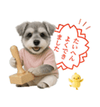 ポジティブな気持ちを伝えるシュナウザー（個別スタンプ：21）