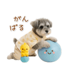 ポジティブな気持ちを伝えるシュナウザー（個別スタンプ：25）