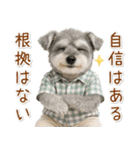 ポジティブな気持ちを伝えるシュナウザー（個別スタンプ：26）