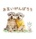 ポジティブな気持ちを伝えるシュナウザー（個別スタンプ：30）