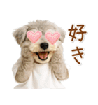 ポジティブな気持ちを伝えるシュナウザー（個別スタンプ：34）