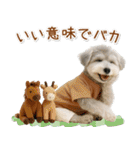 ポジティブな気持ちを伝えるシュナウザー（個別スタンプ：39）