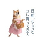 実写の嫁しば犬【連絡・夫婦・かわいい】（個別スタンプ：16）