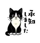 ハチワレ猫の毎日スタンプ（個別スタンプ：2）