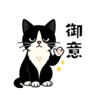ハチワレ猫の毎日スタンプ（個別スタンプ：3）